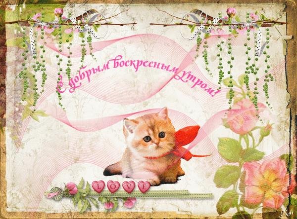 чудесного воскресенья и отличного настроения