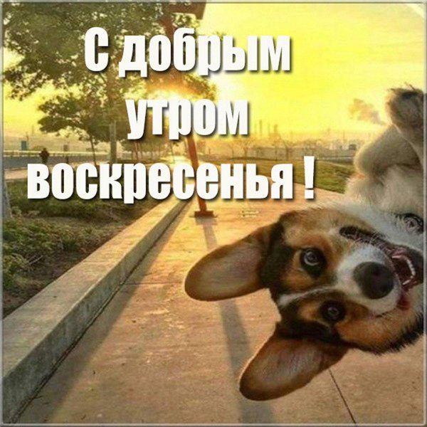 хорошей пятницы