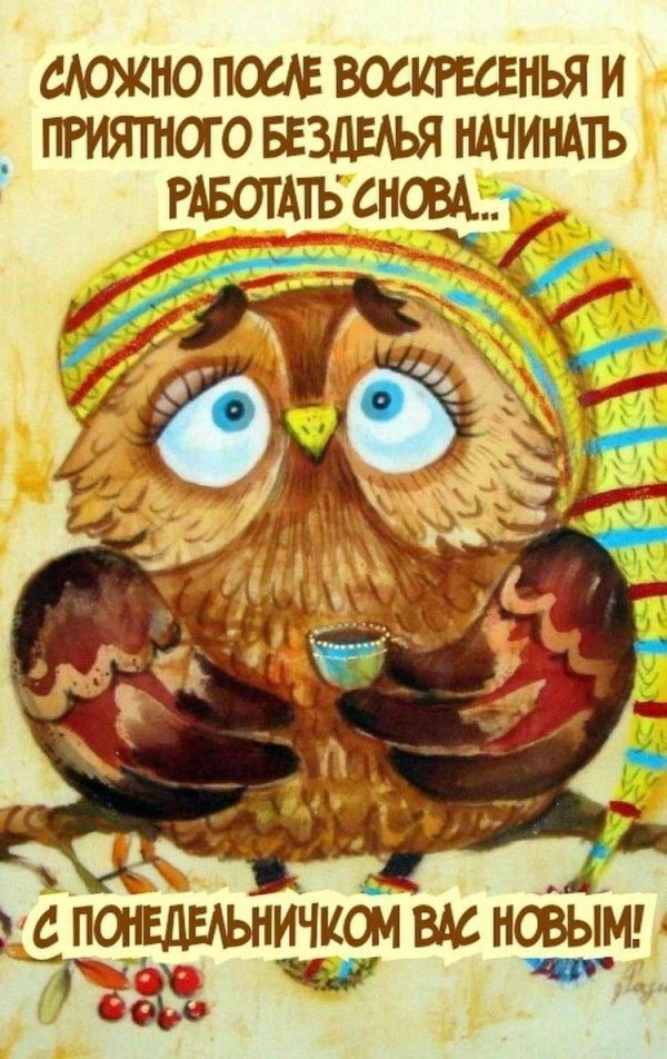 прикольные открытки с понедельником