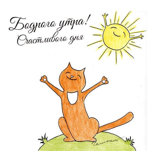 счастливый кот