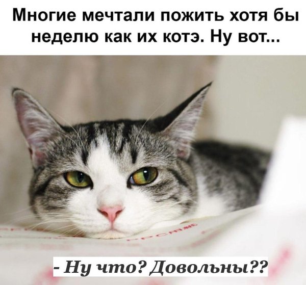 воскресенье спать