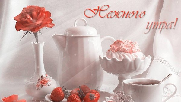 нежного утра