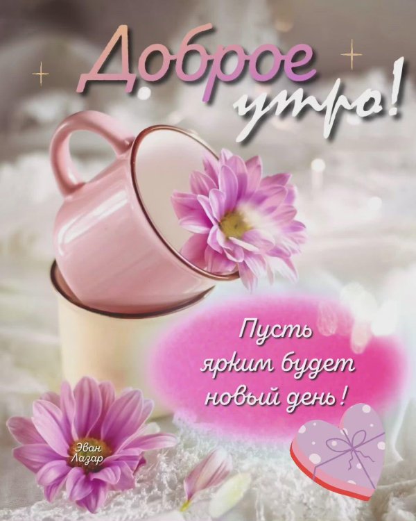 доброе утречко прекрасного дня