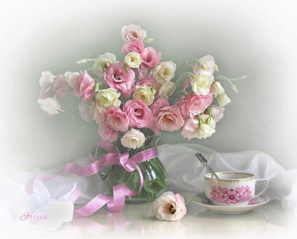 фотонатюрморты валентина колова