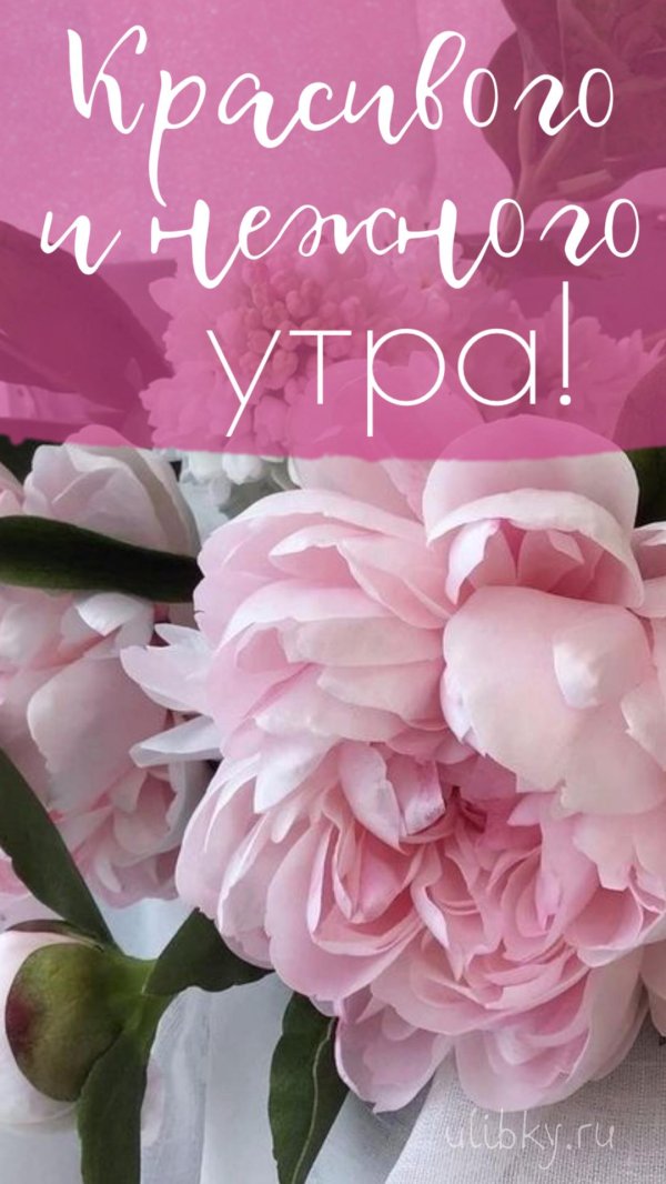 самого доброго утра и хорошего настроения