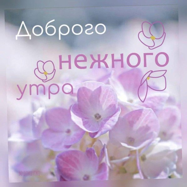 доброго нежного утра