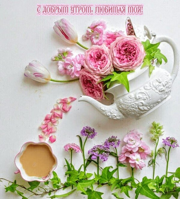 пионовидная роза