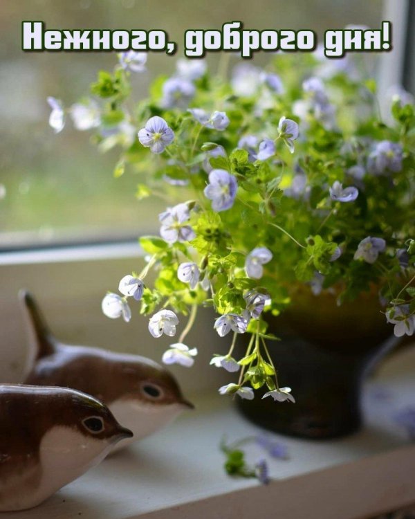 добрый день необычные