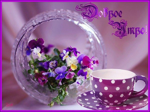 открытка с добрым утром красивая