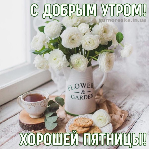 добрейшего утра пятницы