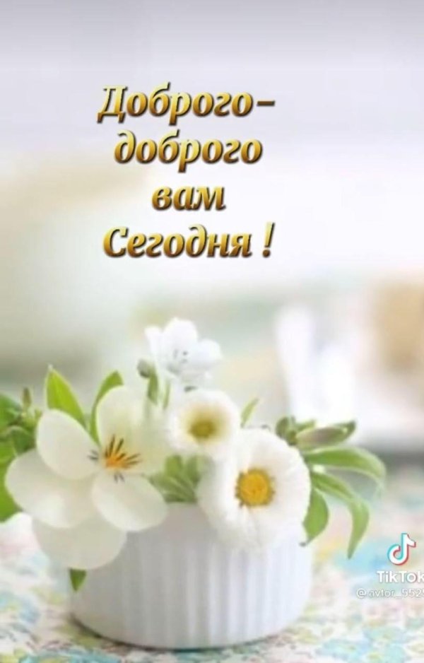 открытки доброе летнее утречко