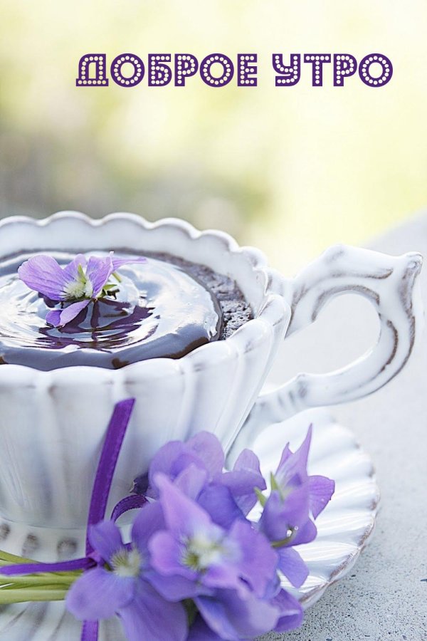 добра утра