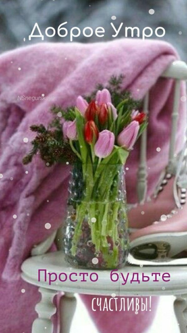 красивое утро