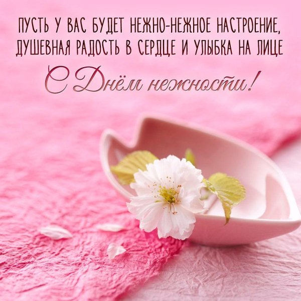 с днем нежности