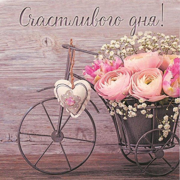 букет в велосипеде