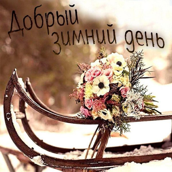 зимние букеты