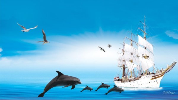 красивый парусник