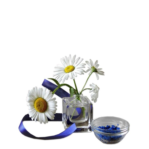 ромашка цветки