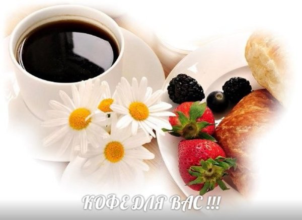 доброго утра ромашки