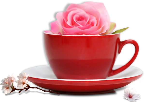 цветы в кружке