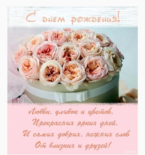 пионовидная роза