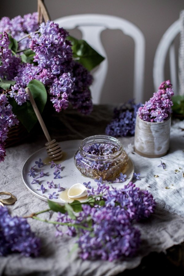 цветки лаванды