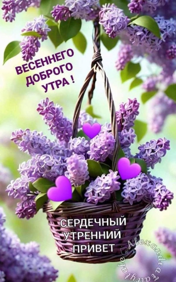 Доброе утро с сиренью необычные