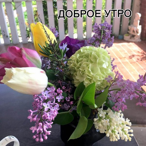 с добрым утром гортензия