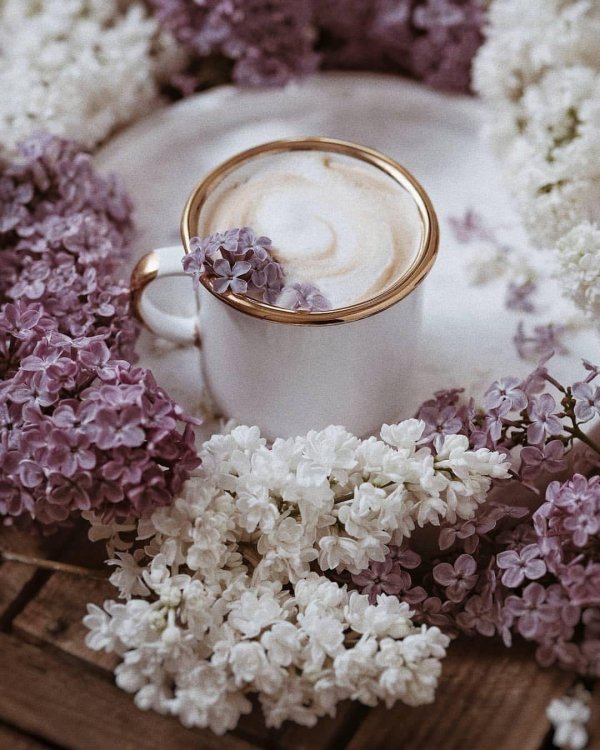 утреннее кофе