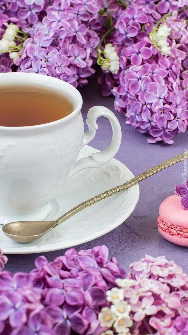 сиреневое утро