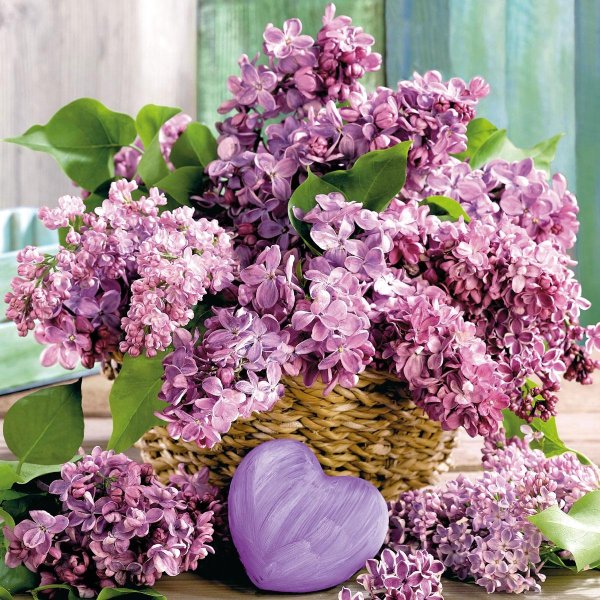 открытка с сиренью