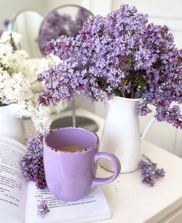 нилето сирень