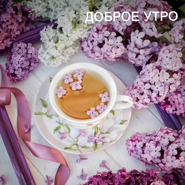 сиреневое утро