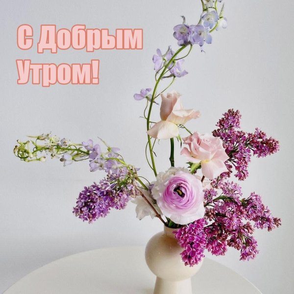 доброго утречка флоксы