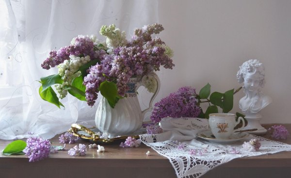 валентина колова натюрморты