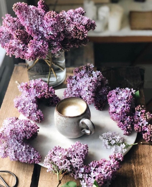 утро кофе весна