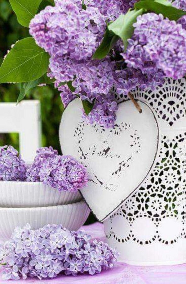 цветок сиреневый