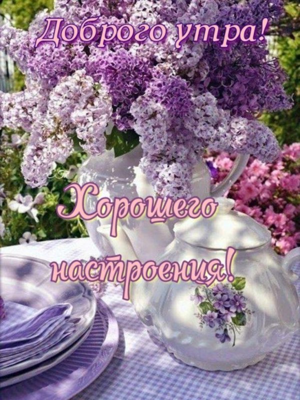 доброго майского утра