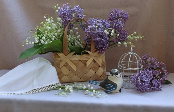 композиция с сиренью