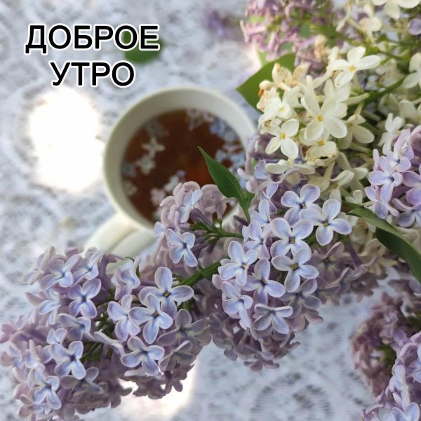 добра утра