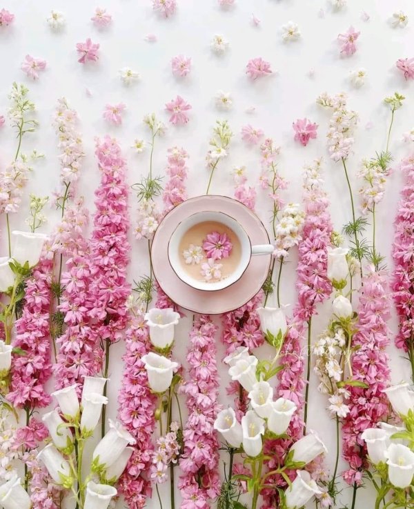 фон для инстаграм