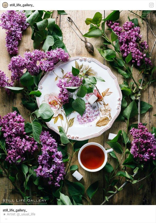 доброе утро в сиреневых тонах