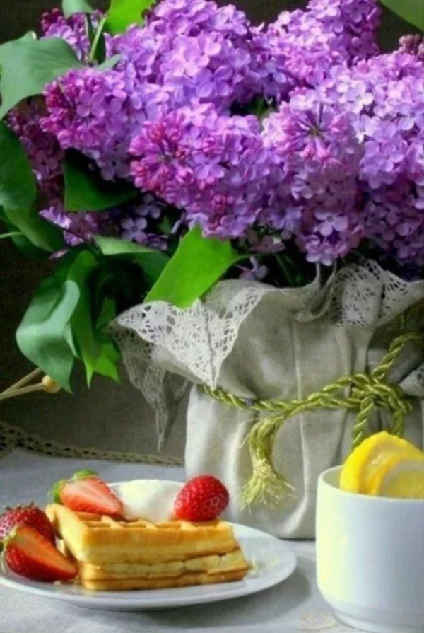 сирень букет