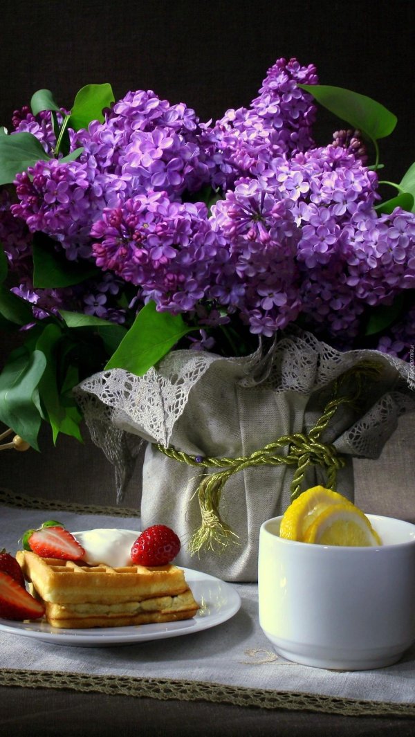 натюрморт сирень