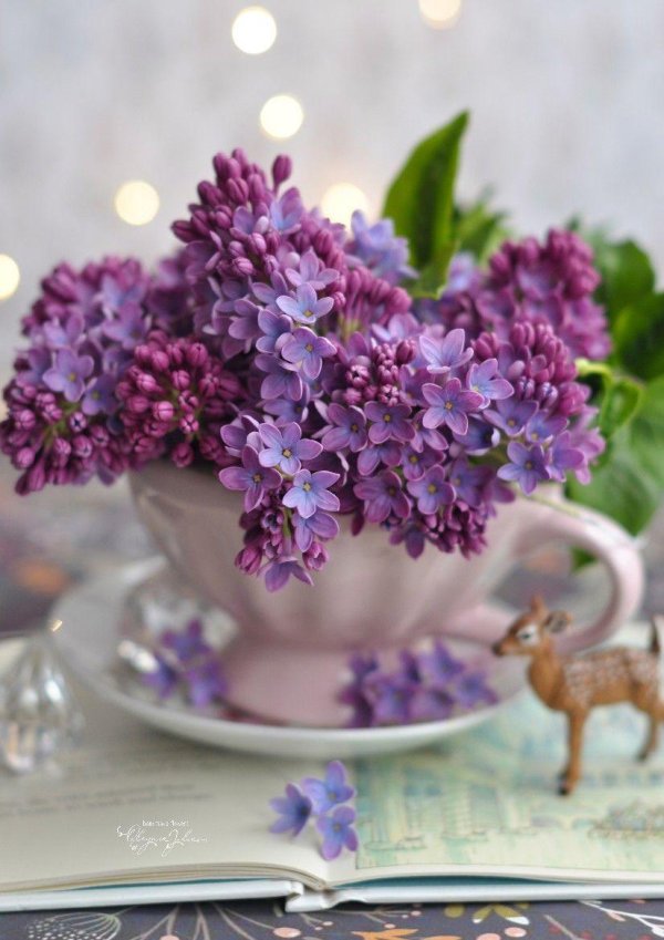 доброе утро в сиреневых тонах