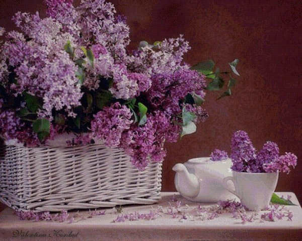 фотонатюрморты валентины корибут