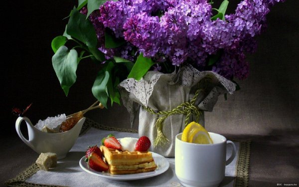 натюрморт сирень