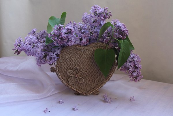 букет из сирени