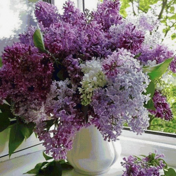 букет сирени