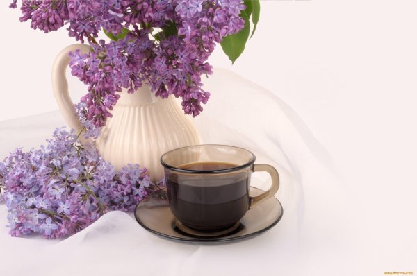 стильные пожелания с добрым утром